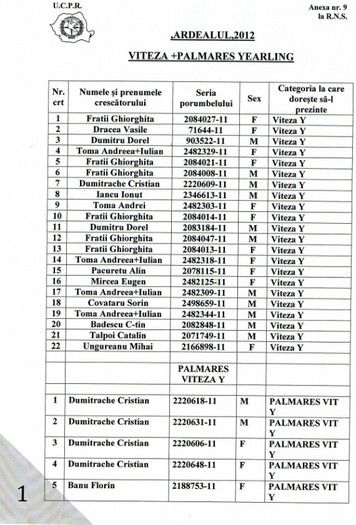 vit palm y - Liste cu porumbeii participanti