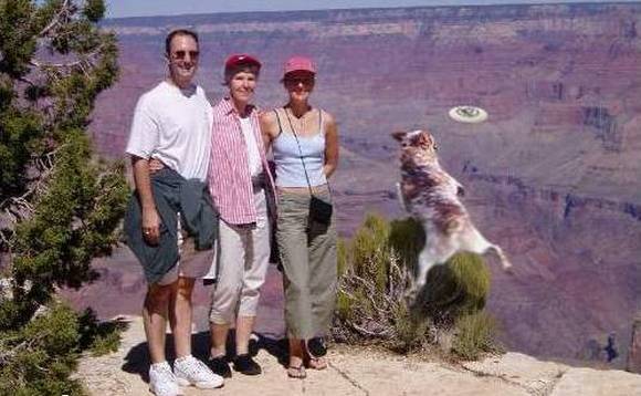 download16 - ULTIMA FOTOGRAFIE