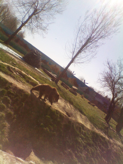 IMG_20120402_110345 - swdkjsdkj