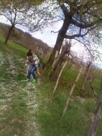 IMG_20120416_123327 - swdkjsdkj