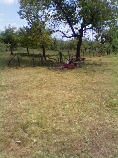 IMG_20120729_131225