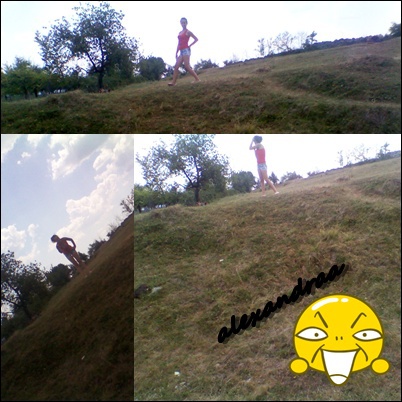 aliisess