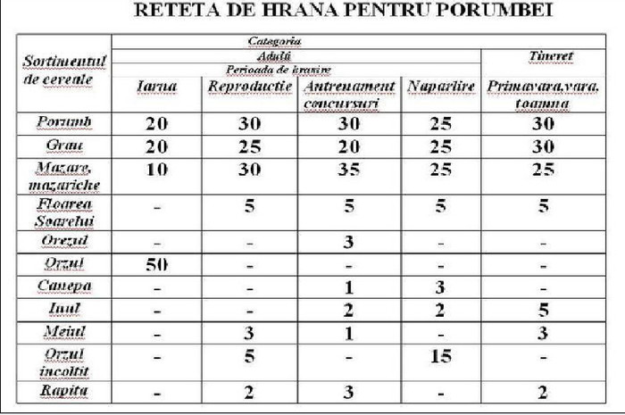 meniu complet - xxxxxx - util