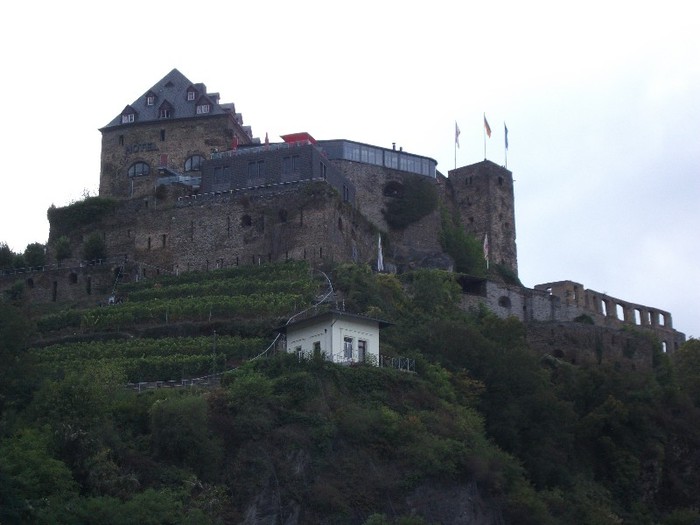 Picture 583 - Castelul Rheinfels