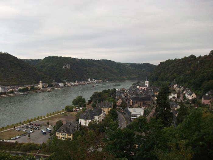 Rinul - Castelul Rheinfels