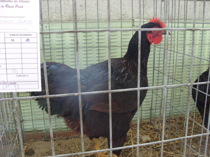SN854602