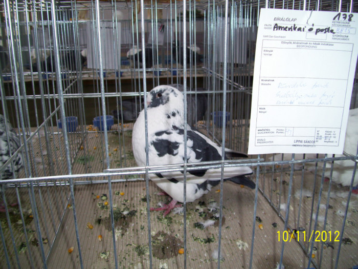 100_0829 - 20 - EXPO SIKLOS UNGARIA 2012