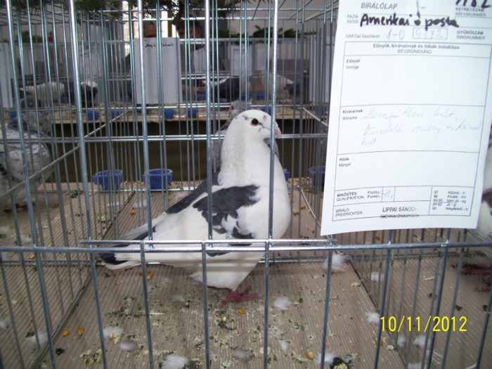 100_0832 - 20 - EXPO SIKLOS UNGARIA 2012