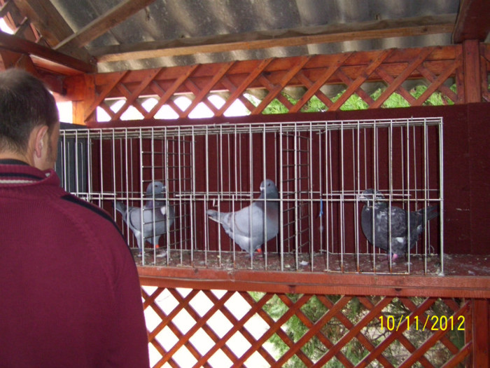 prezentarea porumbeilor - 24 - In vizita la JANOS BENYEI