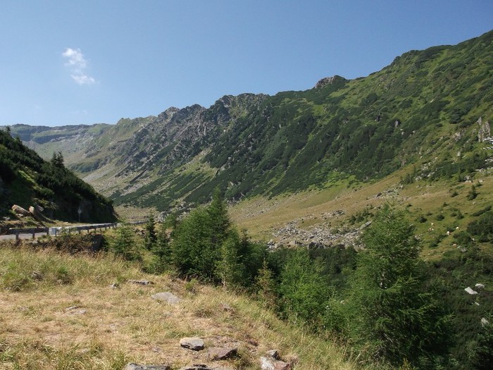 DSCF1454 - Transfagarasanul