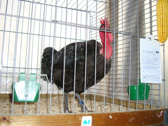 DSC05784