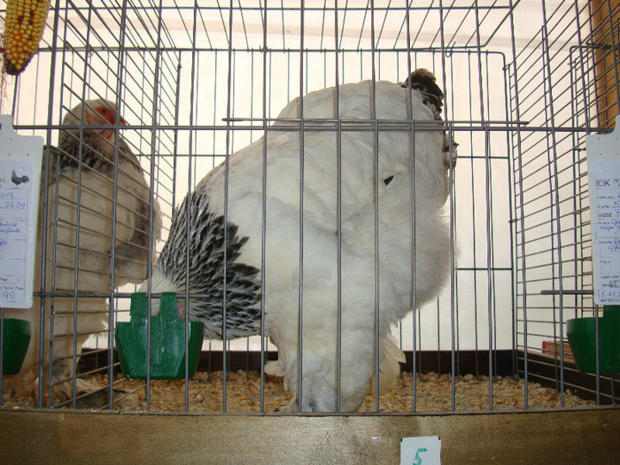DSC05790
