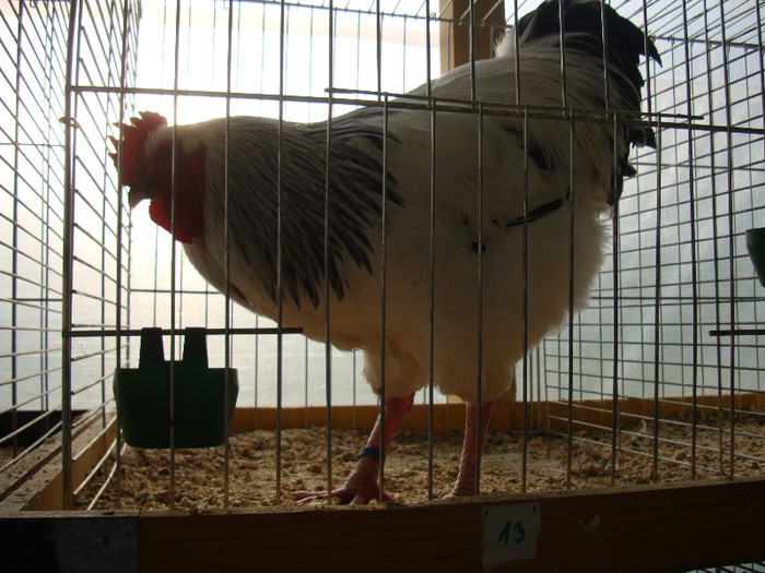 DSC05794