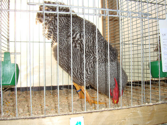 DSC05795