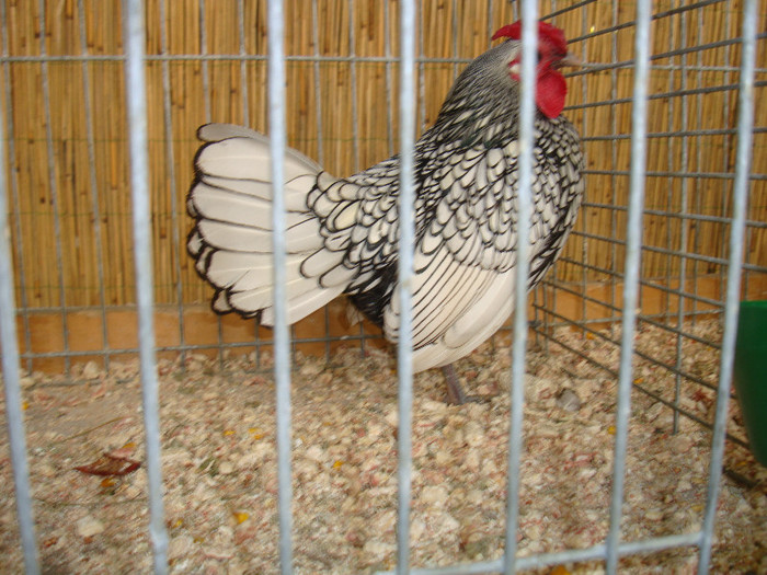 DSC05797