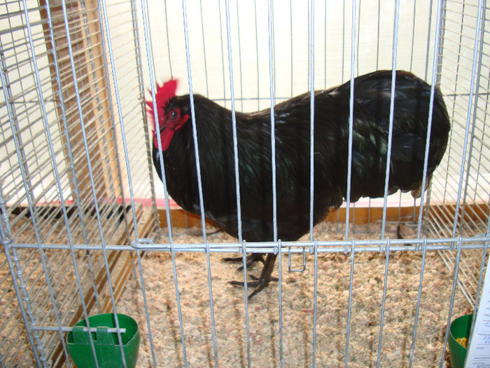 DSC05806