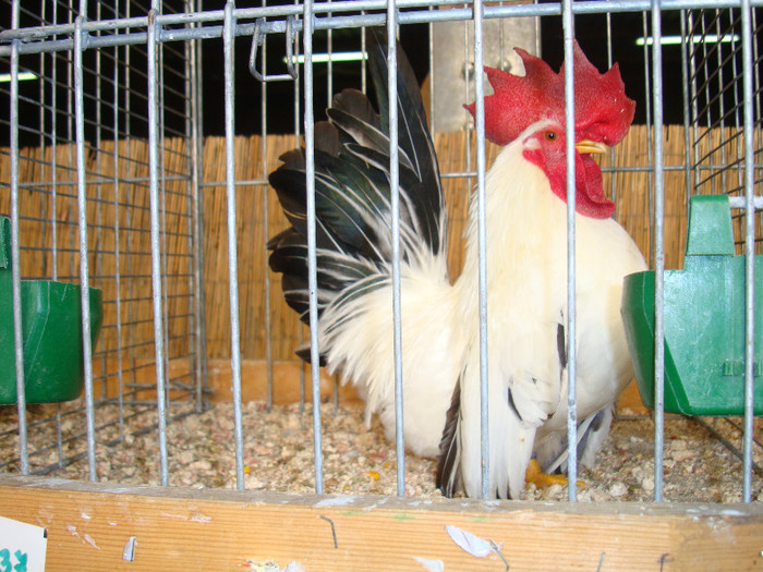 DSC05807