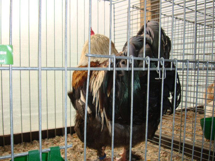 DSC05809