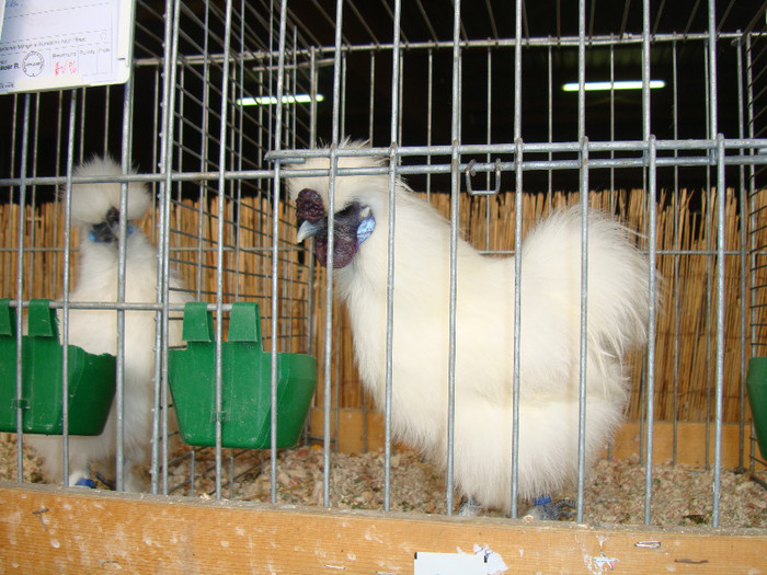 DSC05812