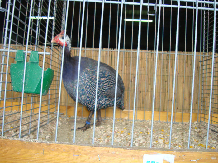 DSC05819