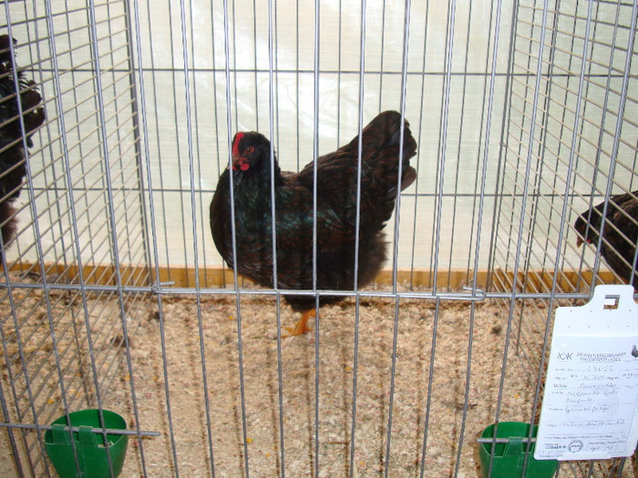 DSC05825