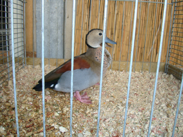 DSC05827