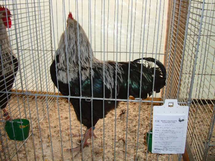 DSC05829