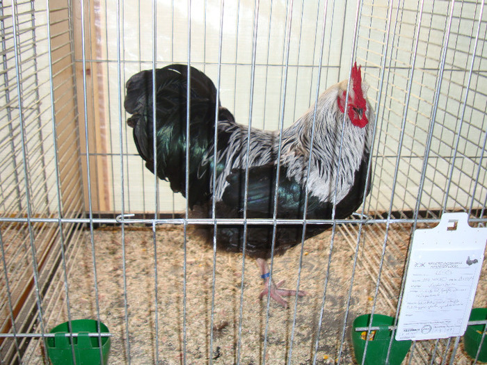DSC05830