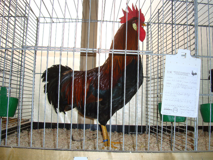 DSC05835