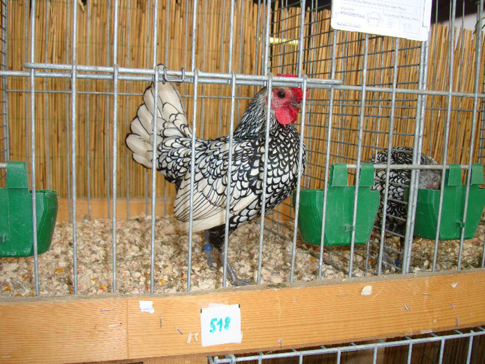 DSC05841