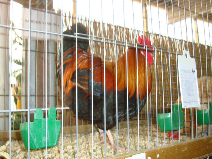 DSC05842