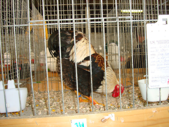 DSC05844