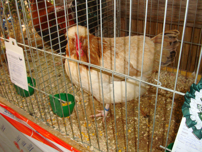 DSC05845