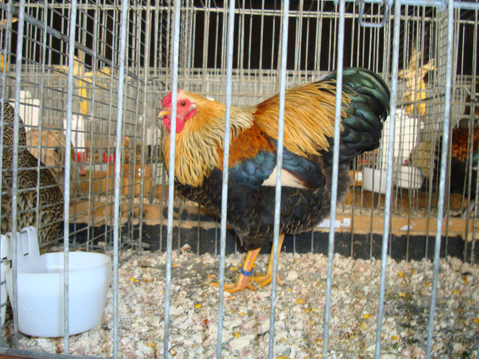 DSC05849