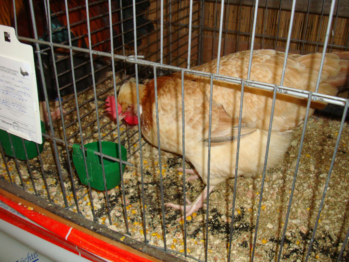DSC05852