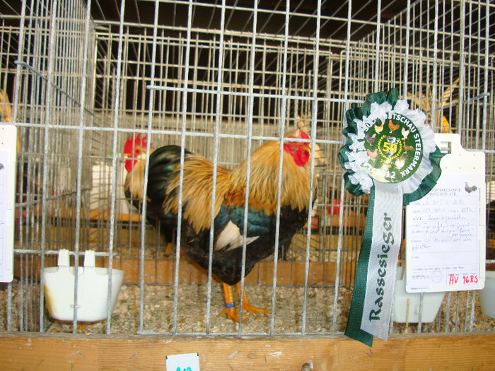DSC05854