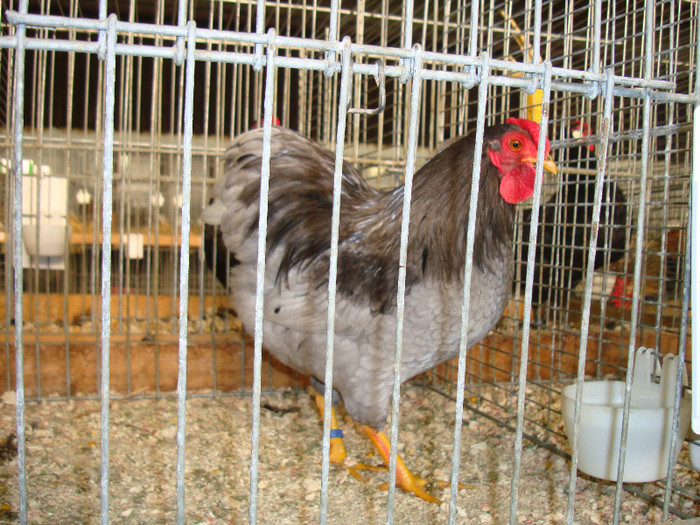 DSC05857