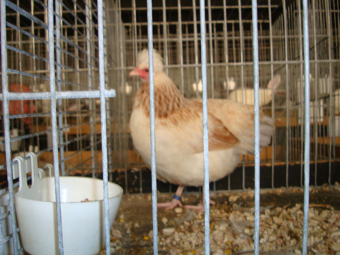 DSC05860