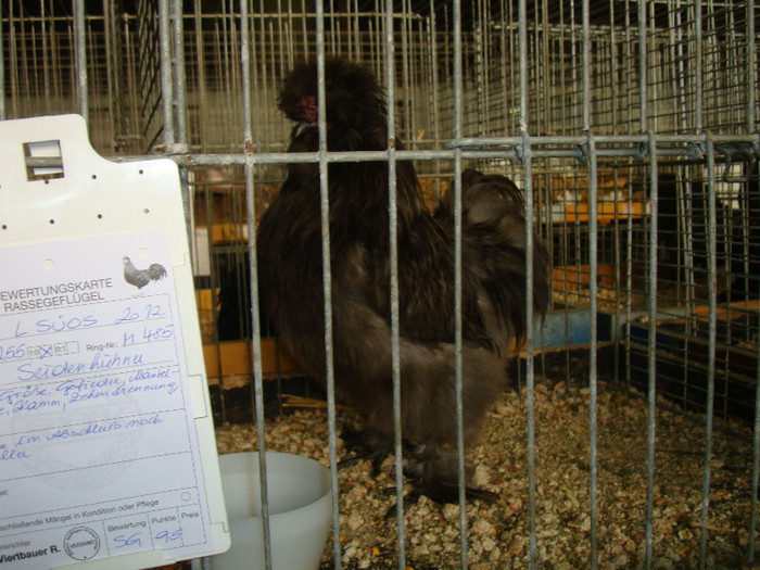 DSC05868