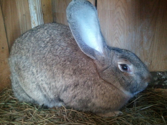 20121112_131741 - iepuri mei