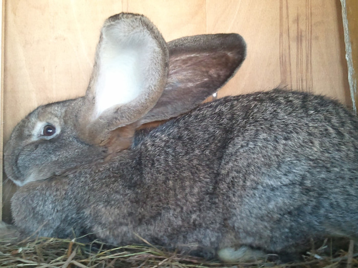 20121112_133813 - iepuri mei