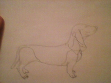 Basset hound - zz- Desene by mee