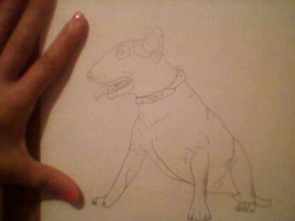 Bull-terrier - zz- Desene by mee