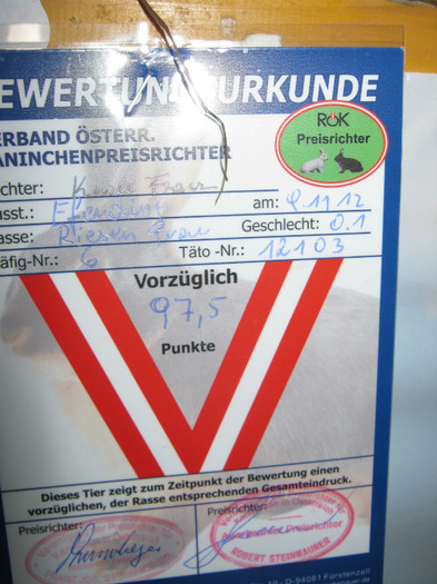 austellung-nov 138 - E-54-nov --2011-2012-2013-2014