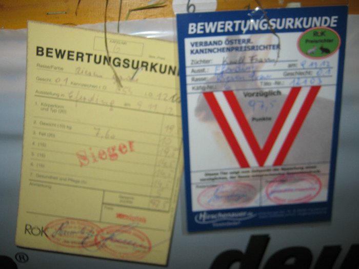 austellung-nov 139 - E-54-nov --2011-2012-2013-2014