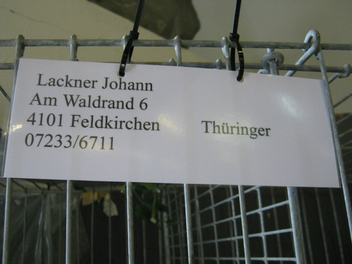 austellung-nov 063 - E-54-nov --2011-2012-2013-2014