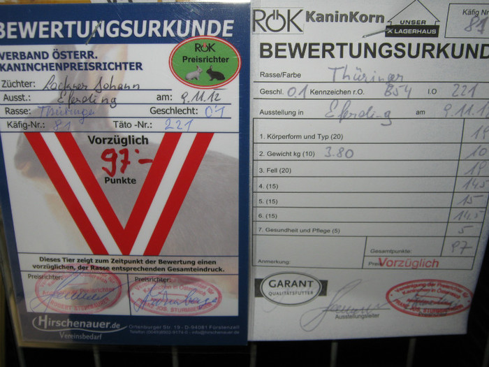 austellung-nov 064 - E-54-nov --2011-2012-2013-2014