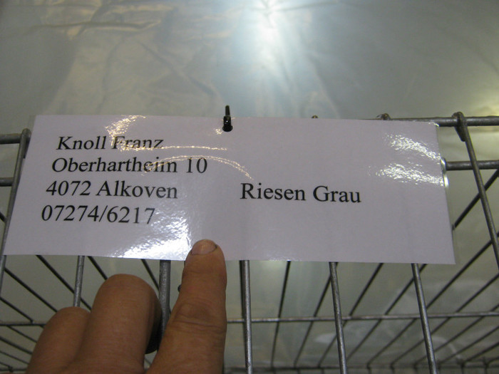 adresa lui Knoll franz -telf - E-54-nov --2011-2012-2013-2014