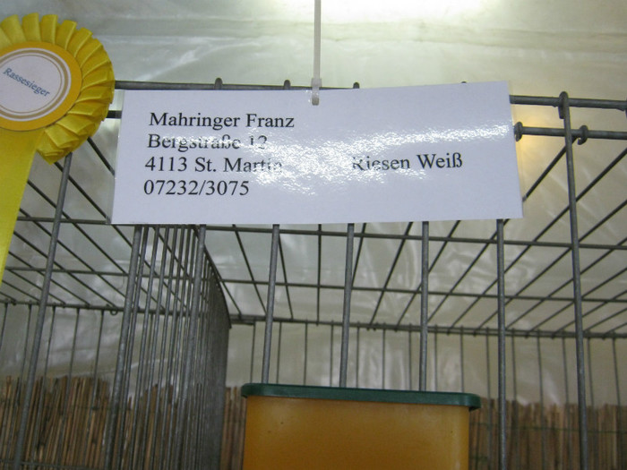 austellung-nov 070 - E-54-nov --2011-2012-2013-2014