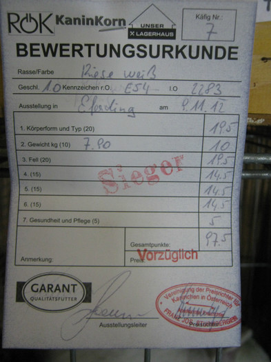 austellung-nov 073
